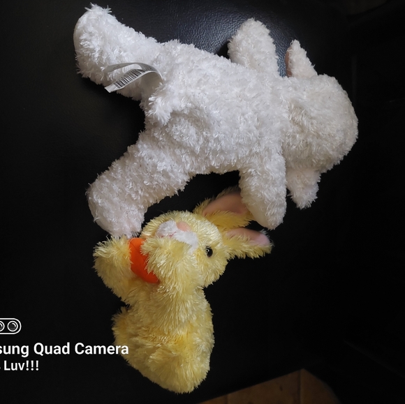 2 Stuffed Animals - Picture 2 of 4